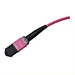 MPO Fiber Optic Connector
