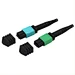 MPO Fiber Optic Connector